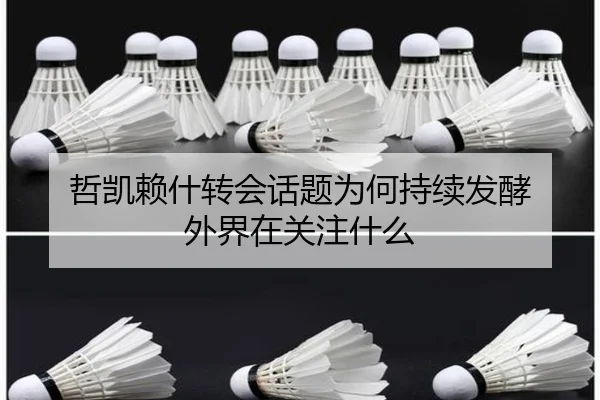 哲凯赖什转会话题为何持续发酵 外界在关注什么